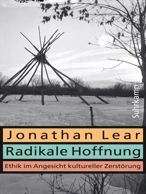 cover image of Radikale Hoffnung